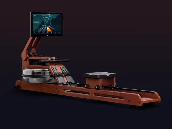 Ergatta Luxe Rower
