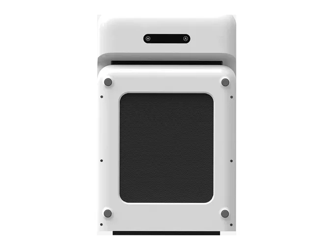 WalkingPad C2 Mini